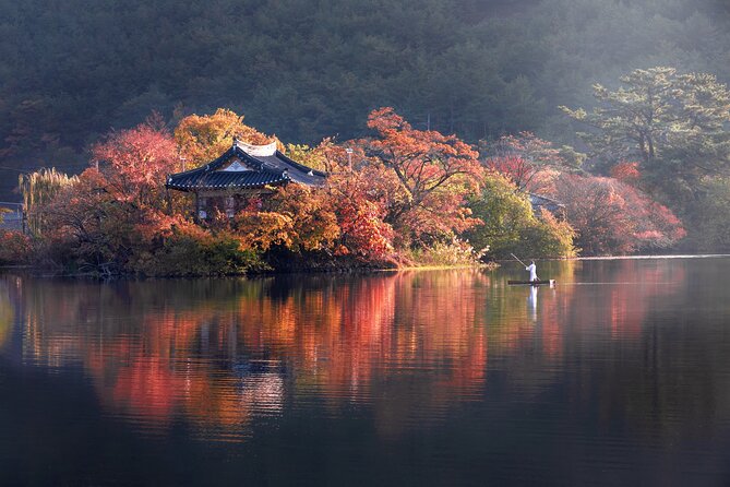 Memorable Autumn Foliage Random Tour (From Busan)
