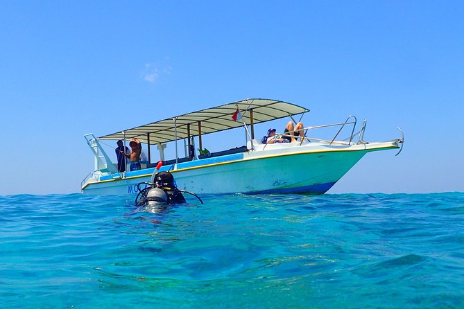 Menjangan Island for Certified Scuba Divers Full Day Boat Trip, 2 Dives Lunch - Trip Overview