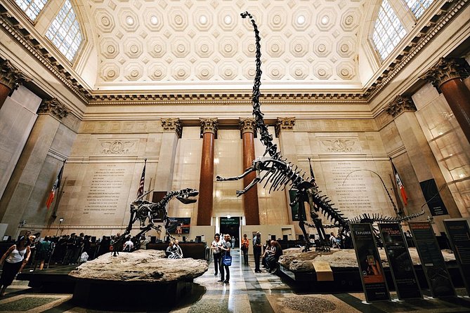 Met & Natural History Museum Skip-the-Line Combo Tour – Semi-Private 8ppl Max