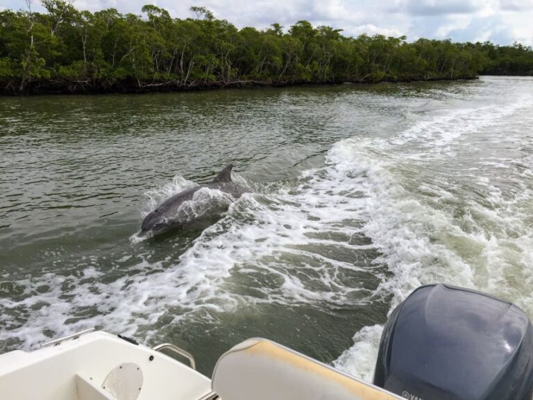 Miami: Everglades Full-Day Tour With 2 Boat Trips and Lunch