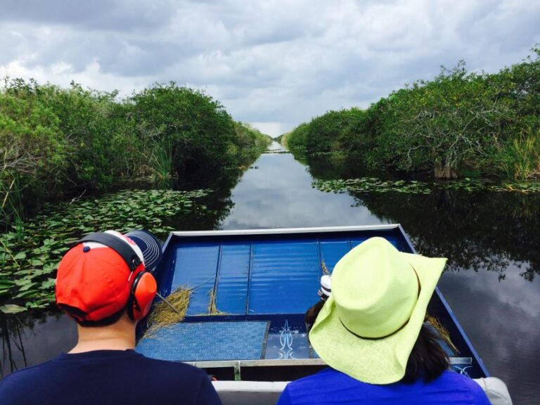 Miami: Everglades River of Grass Small Airboat Wildlife Tour