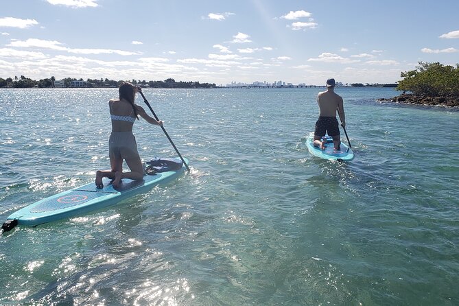 Miami: Kayak or SUP Island and Wildlife Tour