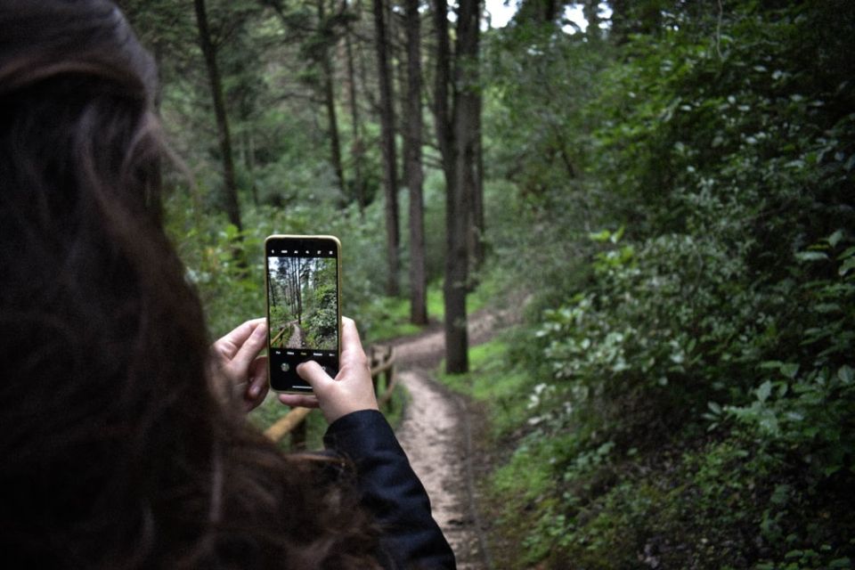 Miles Canyon: Self-Guided Nature Tour With Audio Guide - Tour Duration and Cancellation Policy