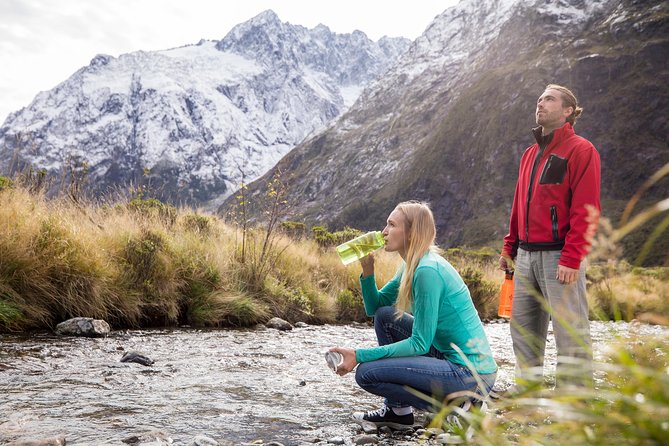 Milford Sound Coach and Cruise From Te Anau With Buffet Lunch - Tour Highlights and Inclusions