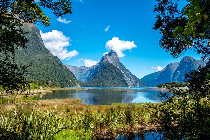 Milford Sound Private Tour With Lunch and Boat Cruise - Tour Highlights