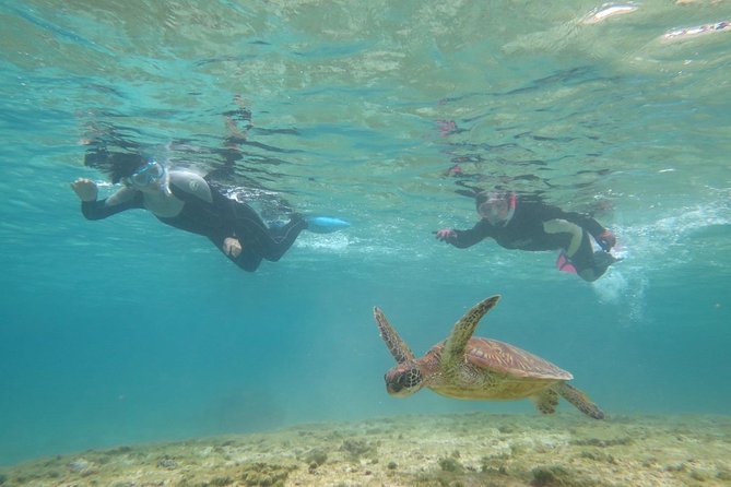 [Miyakojima Snorkel] Private Tour From 2 People Lets Look for Sea Turtles! Snorkel Tour That Can Be