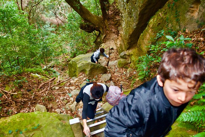 Miyazaki Hiking Tour  - Kyushu - Tour Highlights