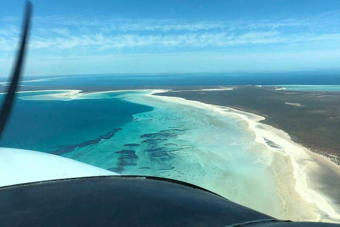 Monkey Mia Dolphins & Shark Bay Air Tour From Perth - Tour Itinerary Highlights