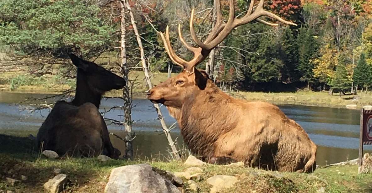 Montreal: Private Day Tour to Parc Omega & Montebello Lodge - Booking Details