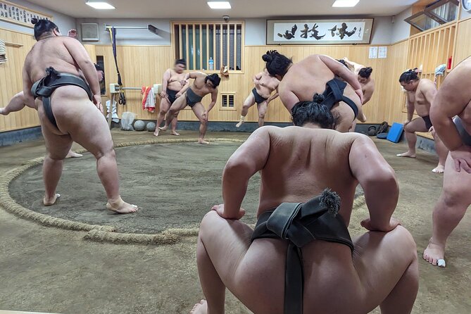 Morning Sumo Practice Viewing in Tokyo