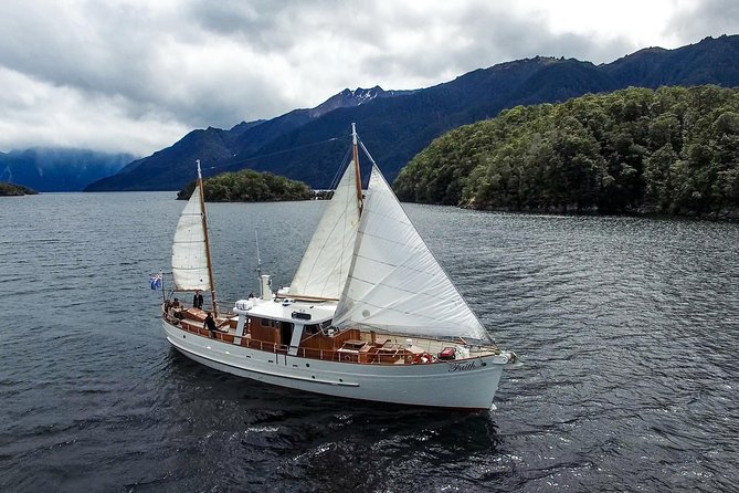 Morning Tea Cruise on Historic Motor Yacht From Te Anau