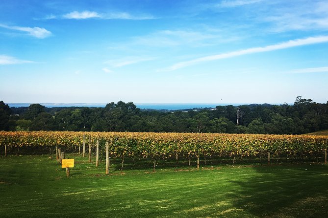 Mornington Peninsula Private Car Winery Tour.1-7 People One Car Price. - Tour Overview