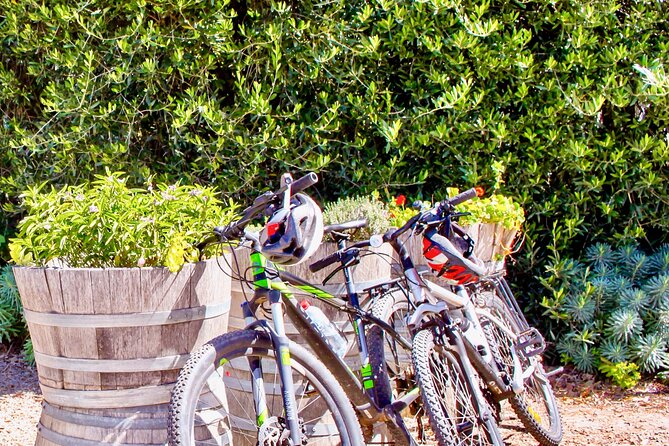 Mornington Peninsula Self-Guided Bike Tour Food & Wine Region