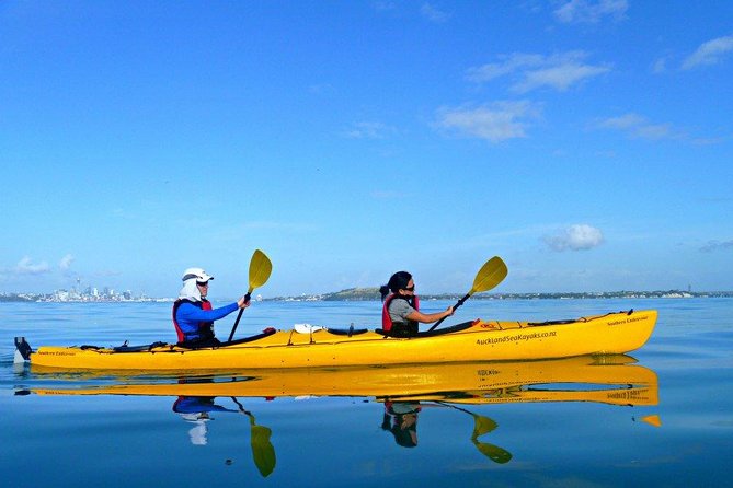 Motukorea / Browns Island Sea Kayak Journey