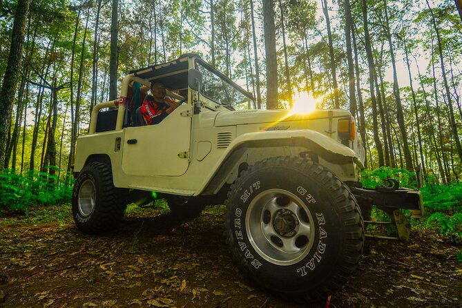 Mount Batur Trekking by 4wd Jeep - Tour Highlights
