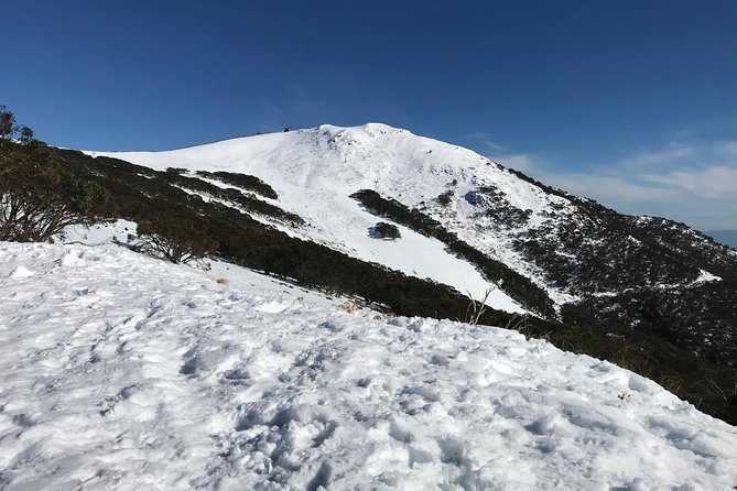Mount Buller Snow Day Boutique Trip - Max 11 People - Departure Information