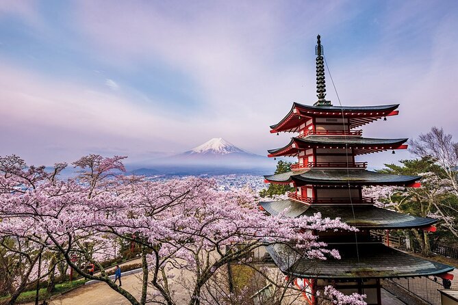 Mount Fuji & Hokane Lakes With English-Speaking Guide - English-Speaking Guide Expertise