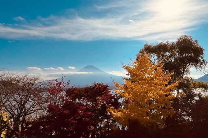 Mount Fuji Panoramic View & Shopping Day Tour - Tour Options & Pricing