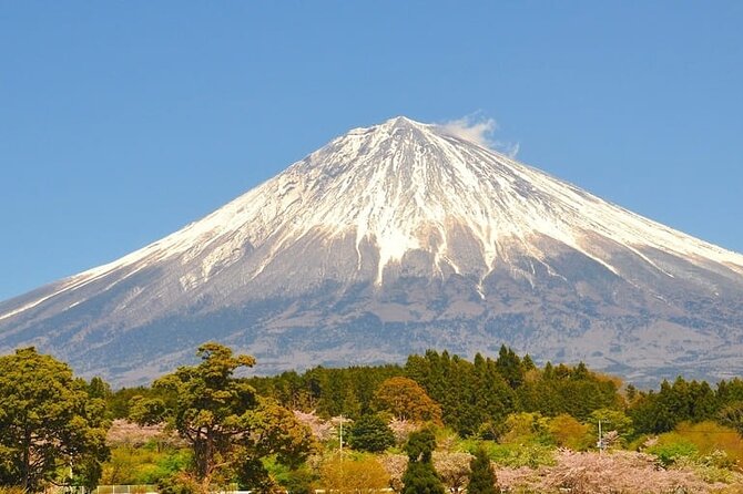 Mount Fuji Private Custom Tour From Tokyo - Booking Details and Procedures