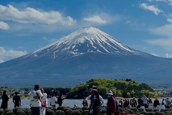 Mount Fuji Private Day Tour With English Speaking Driver - Pricing and Inclusions
