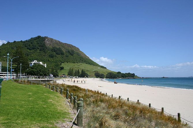 Mount Maunganui Self-Guided Audio Tour - Start Time and Location