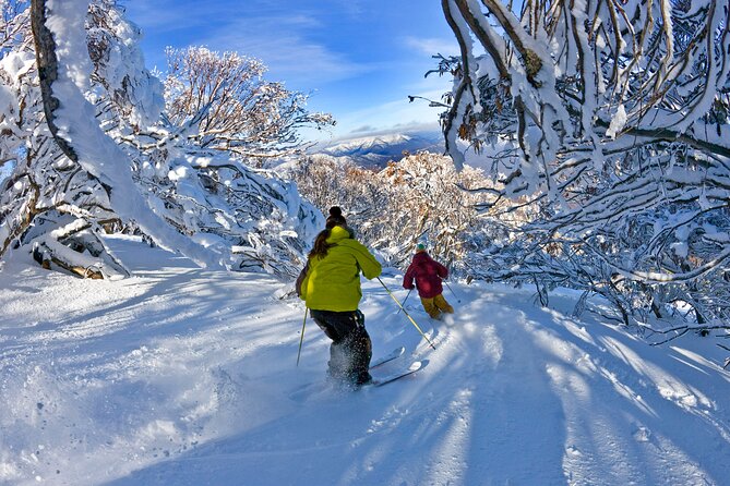 Mt Buller 1 Day Snow Tour (Direct Transfer To Mt Buller Village From Melbourne)
