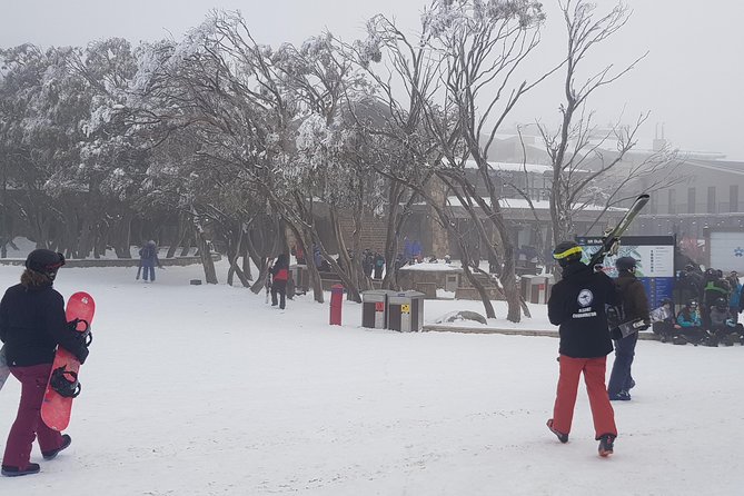 Mt Buller Day Trip From Melbourne - Mt Buller Day Trip Highlights