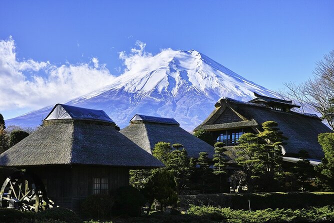 Mt Fuji :1-Day Private Tour With English-Speaking Driver - Tour Pricing and Inclusions