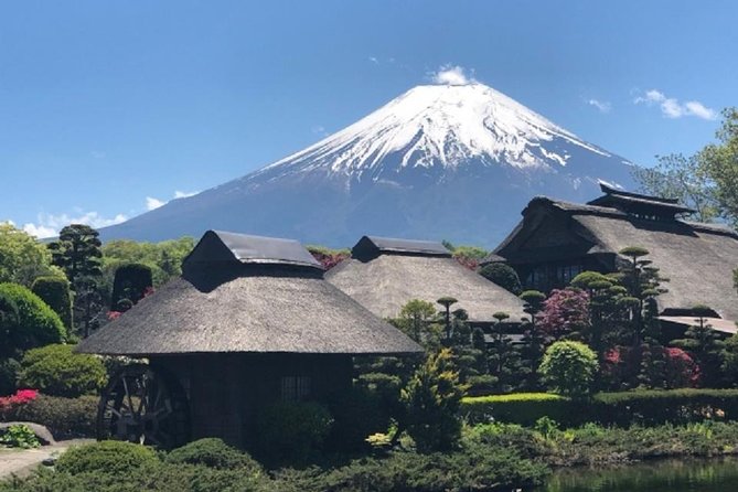 Mt.Fuji Full-Day Private Tour By Public Transportation - Tour Highlights