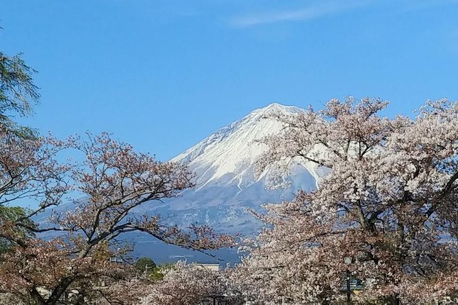 Mt. Fuji, Visit Where All the Japanese People Belong (Chartered Taxi Tour) - Booking Information and Pricing