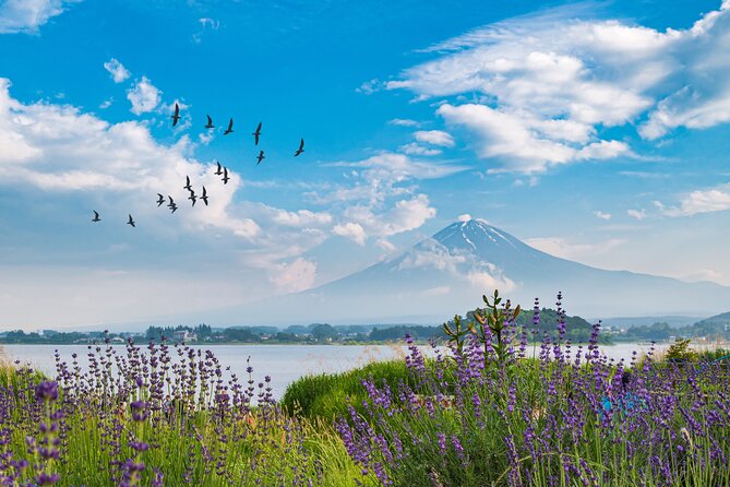 Mt. Fuji's Fifth Station & Lake Kawaguchiko Cycling Tour - Itinerary Overview