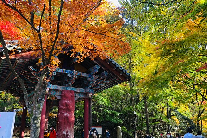 Mt. Naejang Autumn Foliage and Jeonju Hanok Village 1 Day Tour - Tour Pricing and Capacity