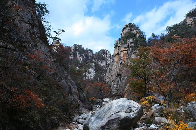 Mt. Seorak & The Tallest Ginko Tree at Yongmunsa