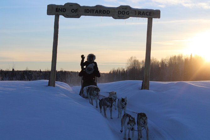 Mush Your Own Sled Dog Team (Winter Tour) in Talkeetna, Alaska - Logistics