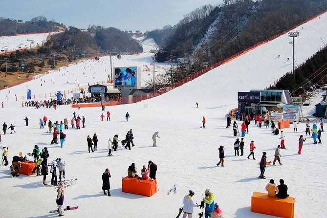 Nami Island and Ski Tour (Elysian Ski Resort) From Seoul – No Shopping