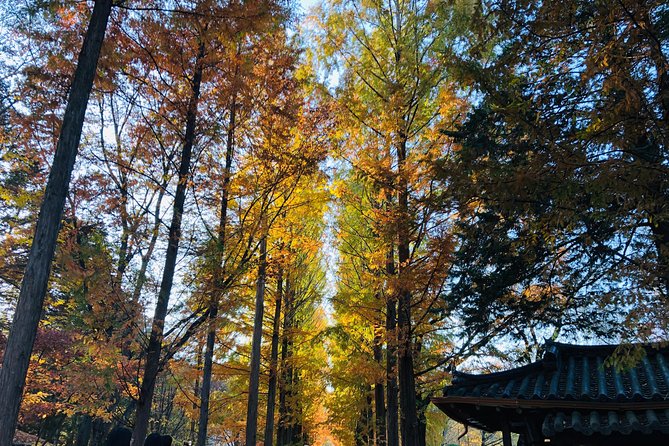 Nami IslandPetite FranceGapyeong Rail BikeGarden of Morning Calm - Tour Information