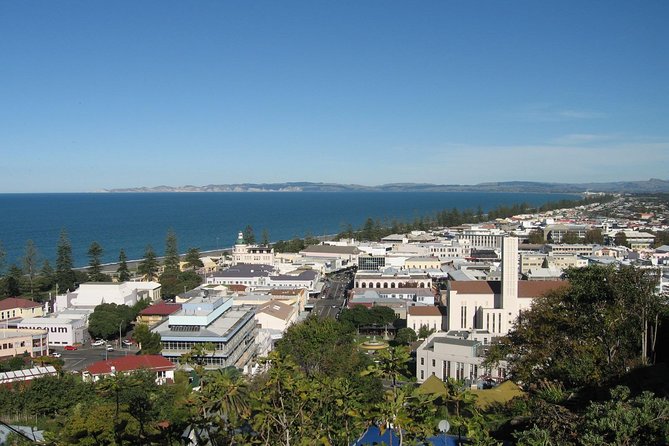 Napier Shore Excursion: City Sights and Hawkes Bay Tour - Tour Highlights