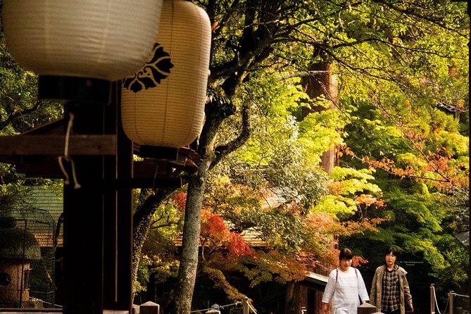 Nara Custom Full Day Tour - Pricing and Booking Information