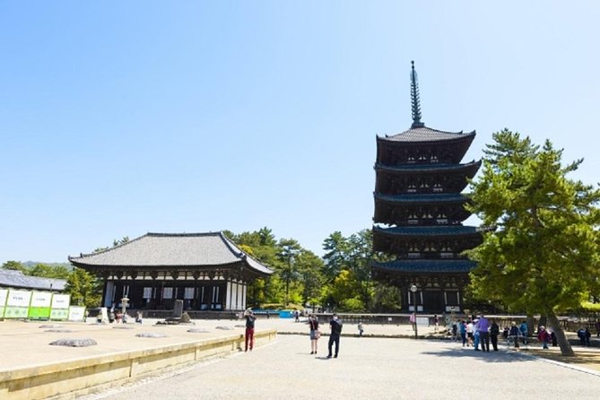 Nara Private Tour by Public Transportation From Osaka - Tour Highlights
