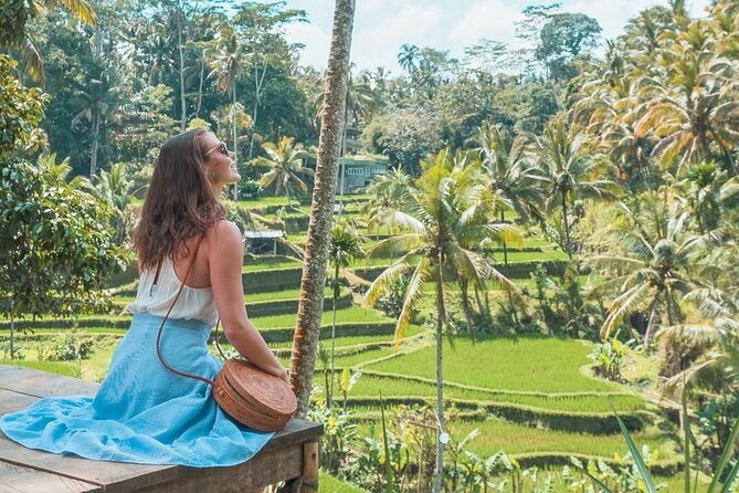 Natural & Cultural Highlights of Ubud: Half-Day Tour  - Seminyak - Tour Itinerary