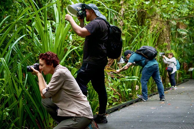 Nature Photography Guided Walks: Cairns  - Cairns & the Tropical North - Tour Details
