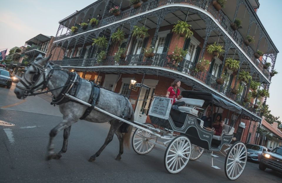 New Orleans City Driving Tour - Tour Booking Information