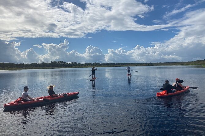 New Smyrna Dolphin and Manatee Adventure Tour - Tour Highlights