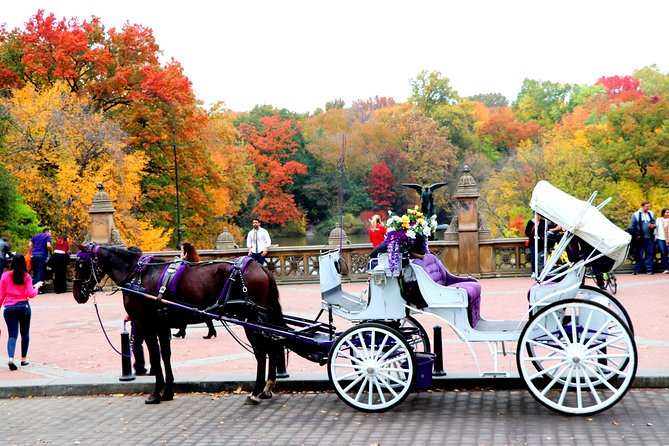 New York City: Central Park Private Horse-and-Carriage Tour - Tour Highlights