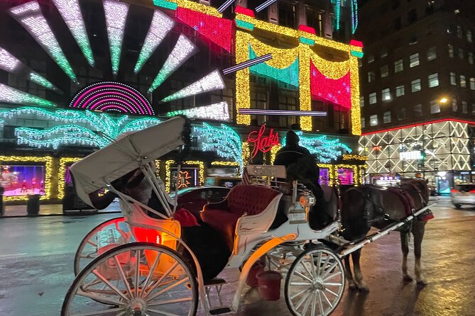 New York City Christmas Lights Private Horse Carriage Ride
