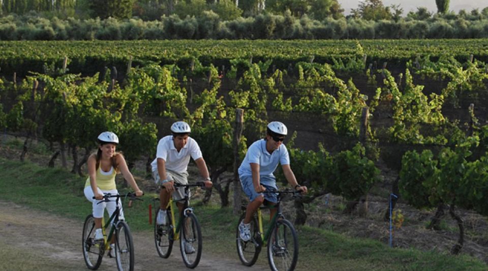Niagara-On-The-Lake: Bicycle Tour With Wine Tasting - Activity Details