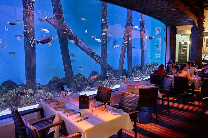 Night at the Aquarium Tour & 2 Course Dinner - Event Overview