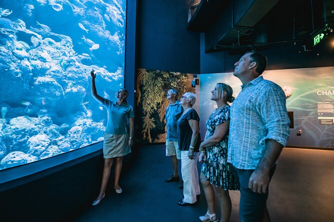 Night at the Aquarium Tour - Traveler Experience Highlights