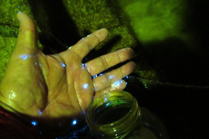 Night Kayak Tour Relax Under the Natural Glow of Sea Fireflies - Tour Details