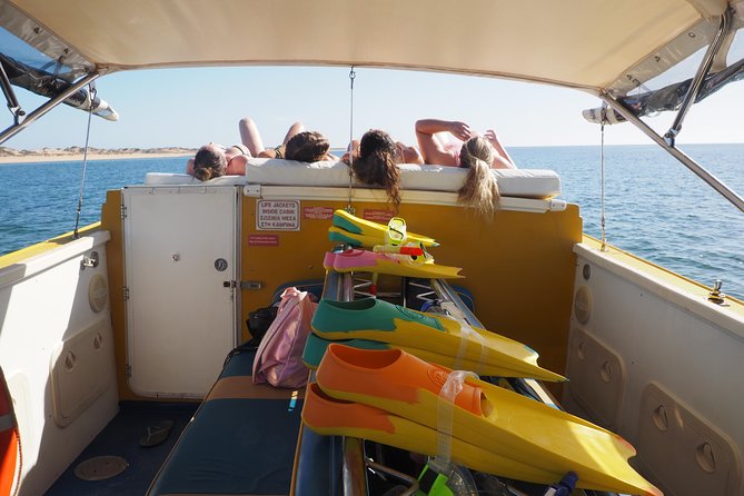 Ningaloo Reef Snorkel and Wildlife Adventure - Tour Highlights